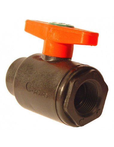 ball valve 2 ways F/F 3/4" BSP - PPG